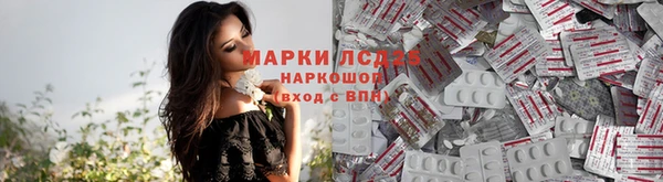 гидропоника Магас
