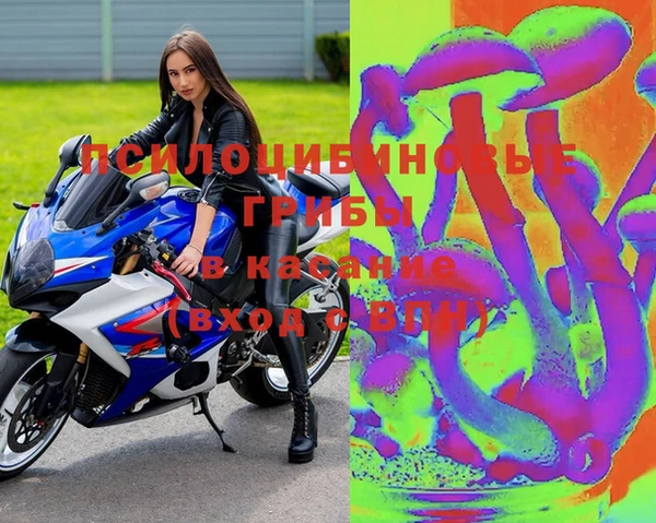 стафф Магадан