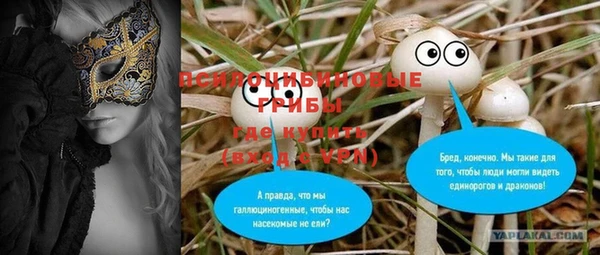 стафф Магадан