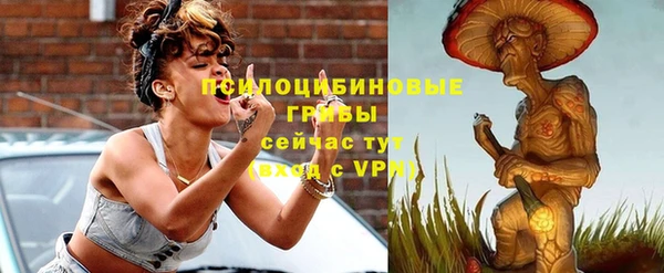 гидропоника Магас