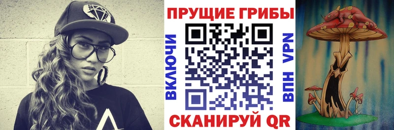 hydra как войти  Яблоновский  Галлюциногенные грибы ЛСД 